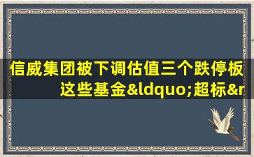 信威集团被下调估值三个跌停板 这些基金“超标”持有